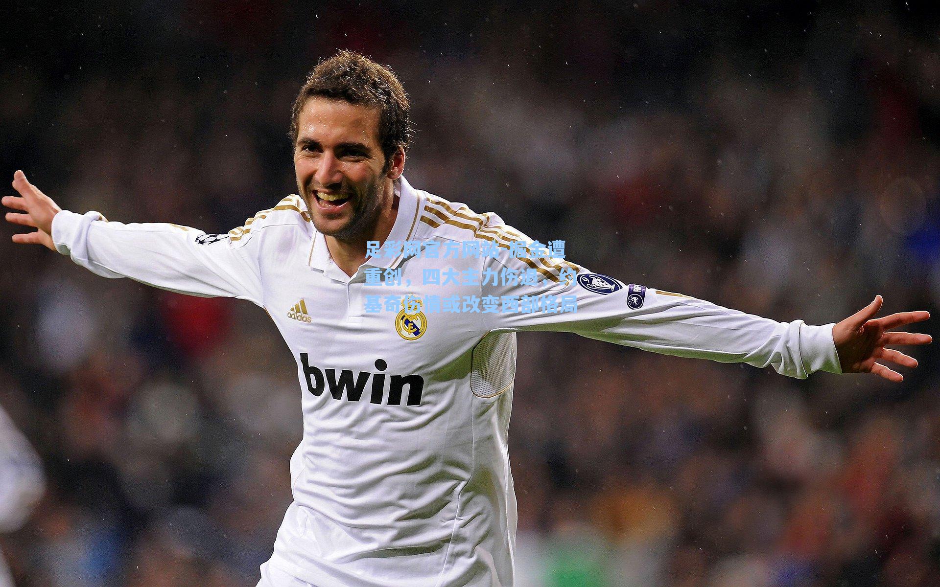 足彩网官方网站-掘金遭重创，四大主力伤退，约基奇伤情或改变西部格局