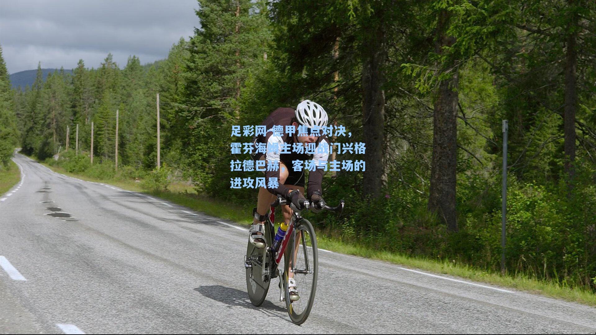 足彩网-德甲焦点对决，霍芬海姆主场迎战门兴格拉德巴赫，客场与主场的进攻风暴