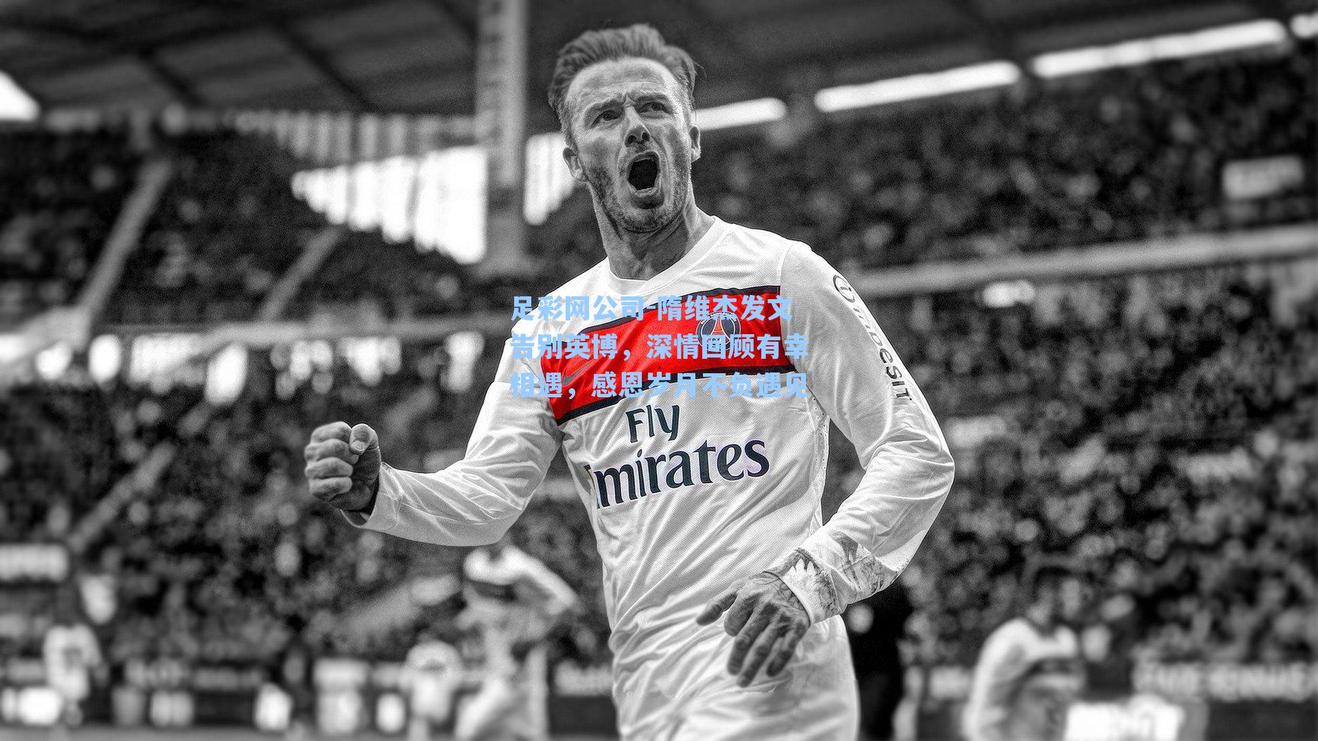 隋维杰发文告别英博,深情回顾有幸相遇,感恩岁月不负遇见