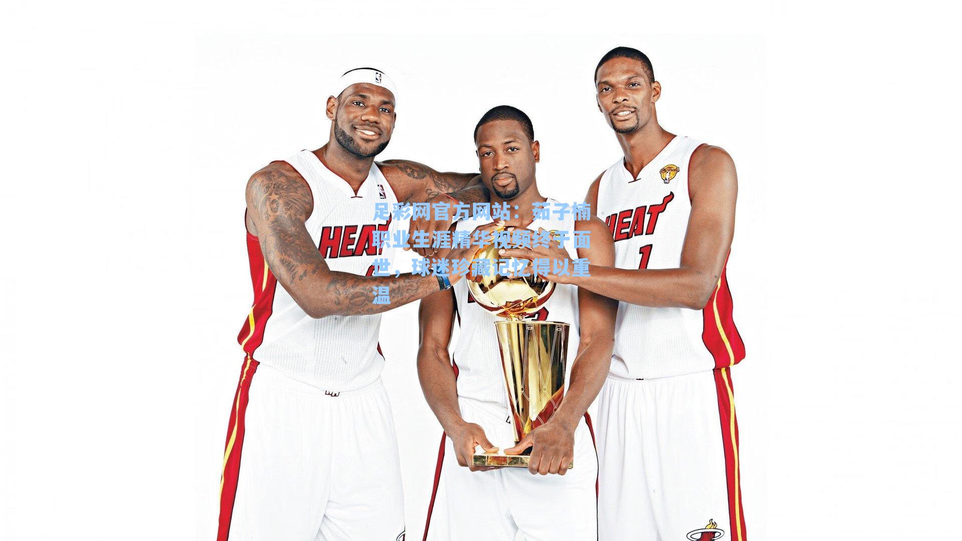 茹子楠职业生涯精华视频终于面世，球迷珍藏记忆得以重温