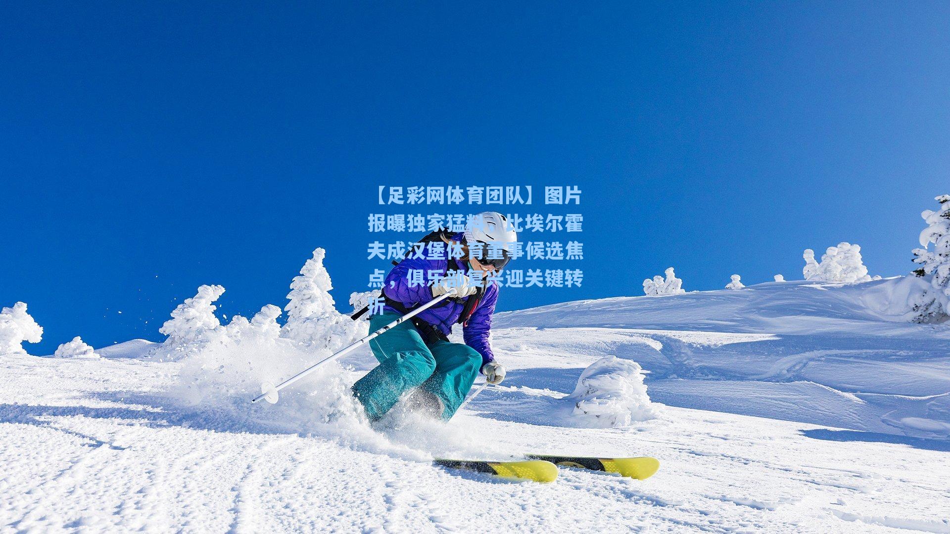 【足彩网体育团队】图片报曝独家猛料，比埃尔霍夫成汉堡体育董事候选焦点，俱乐部复兴迎关键转折